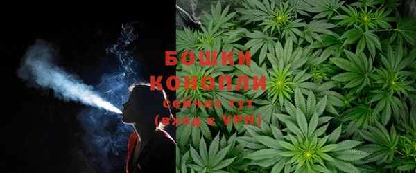 шишки Алексин