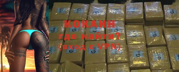шишки Алексин
