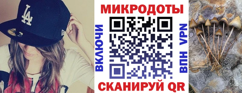 Галлюциногенные грибы Cubensis  цена наркотик  МЕГА ссылки  Звенигово 